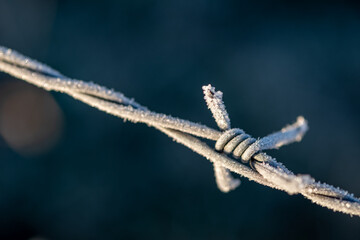 Frost covered barbed wire glistening in the morning sun A close up detail of winter's icy grip