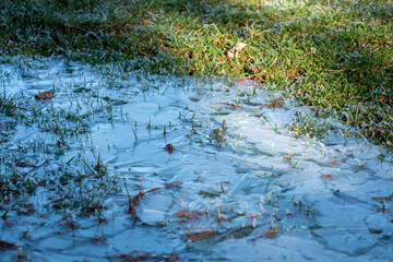Thin sheet of ice covers a patch of grass creating a delicate icy landscape