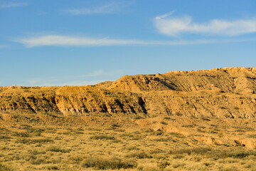 Hilly Landscape with Mountain Range