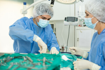 Young man, professional veterinarian, engaged in surgical operation at veterinary clinic with skilled female assistant, focused on health of animal patient
