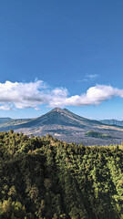 Fototapeta premium Lush Forest with Towering Volcano and Clear Blue Sky