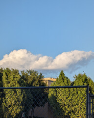 Serene Outdoor Scene with Cloudy Sky and Trees