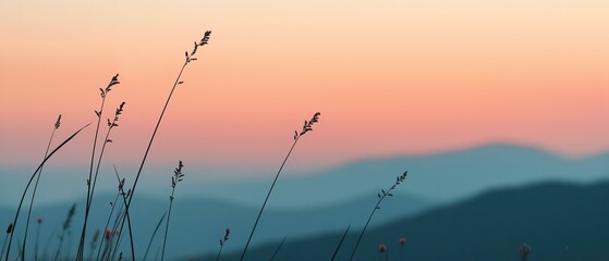 Fototapeta premium Grass Silhouettes at Soft Sunset with Mountain Backdrop