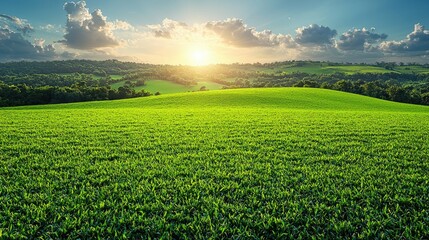 Fototapeta premium Lush Green Field Rolling Hills Sunset Landscape