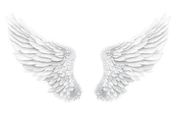 Obraz premium White Wings Spread Gracefully on Black, Symbolizing Purity and Flight.