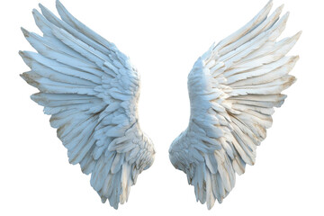 Obraz premium White Wings Spread Out Gracefully Against Black Background, Showing Freedom and Purity.