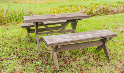 Weathered wooden table and benches on grassy ground with scattered autumn leaves.