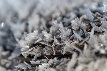 美しい雪の結晶