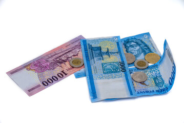 Hungarian forint banknotes and coins on white background

