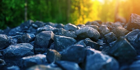 environment 