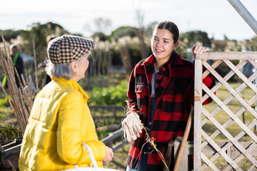 Two cheerful young and old female discussing gardening while standing near fence on garden during...