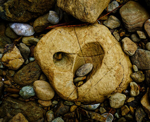 A tear shaped hollow being worn in a rock by smaller stones and gravel by wave action.