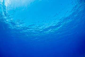 ボニンブルーの海　小笠原