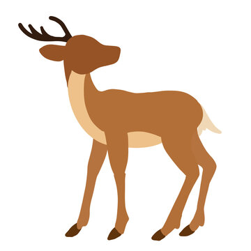 Ilustraci&oacute;n png de venado