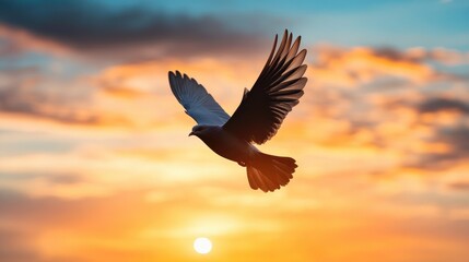 Fototapeta premium A powerful image of a bird in flight, captured as a silhouette against a dramatic sunset sky, highlighting the wingspan and motion of the bird.