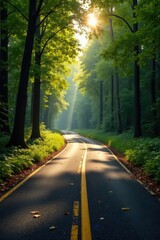 Obraz premium Asphalt ribbon curves through silent woods, sun dappled leaves , turn, road trip