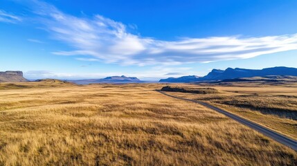 Icelandic Landscape Road Winding Through Golden Grasslands