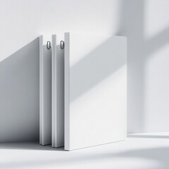  Blank file folder mockup 