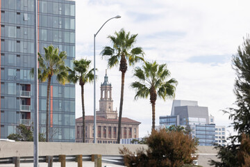Palm framed view of the downtown skyline buildings of San Jose, California, USA.