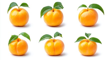 Obraz premium Bright and Fresh Oranges with Green Leaves on White Background
