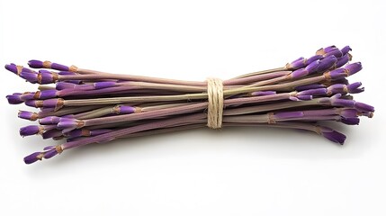 A bundle of lavender stems tied together with twine