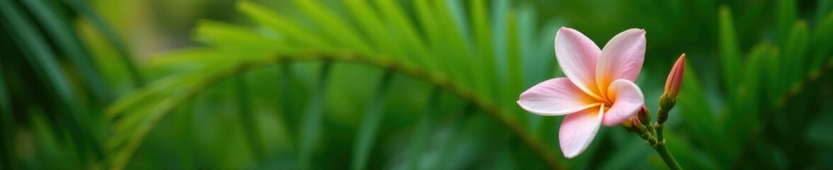 Fototapeta premium A delicate flower blooms among the palm fronds, calm environment, flower bloom