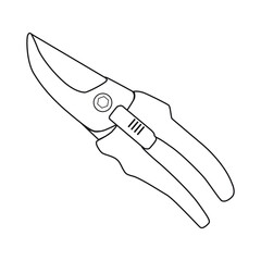 secateurs outline vector illustration