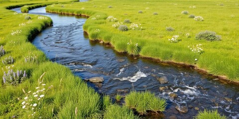 Serpentine watercourse flowing slowly through a verdant meadow filled with wildflowers and green grass, natural beauty, gentle flow