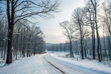Obraz premium Road through a snowy forest with bare trees, winter landscape, frosty atmosphere, serenity, winter wonderland scene, snow-covered road
