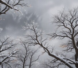 Snowy tree branches stretching towards a grey sky, snow-covered trees, cold weather, winter wonderland