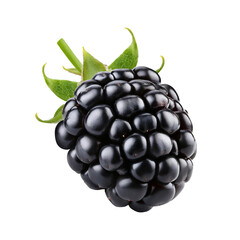 A single blackberry with green leaves, transparent background