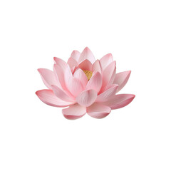 Serene Pink Lotus Flower Isolated on White Background