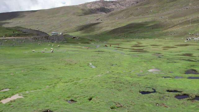 Mesetas y cordillera de Cochabamba, Bolivia