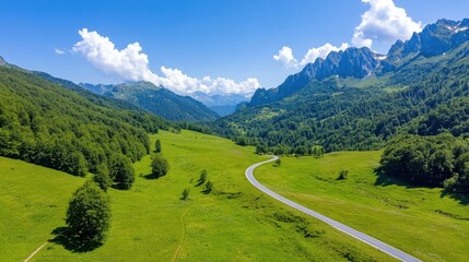 Winding road through lush green forest mountains under bright blue skies