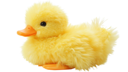 Small yellow duck toy isolated on transparent background