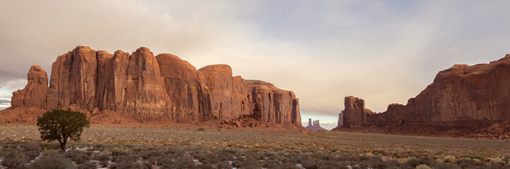 Lonely Tree of Monument Valley Tribal Park, Arizona, USA, November 5th 2024