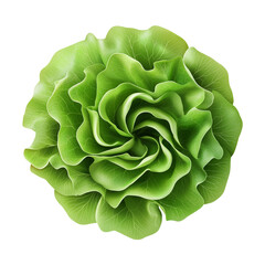 Obraz premium green and Fresh lettuce top view isolated on transparent white background, clipping path