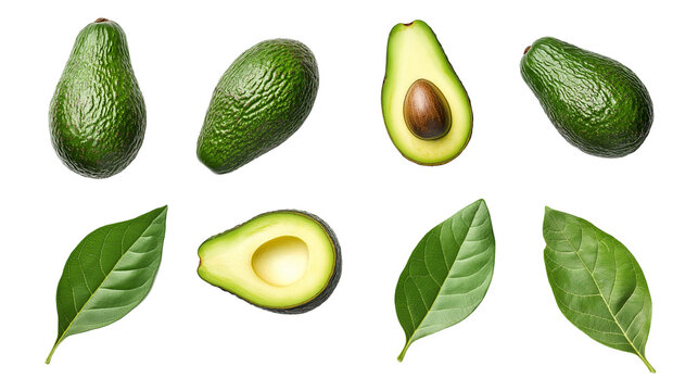 set of avocado top view isolated on transparent white background, clipping path