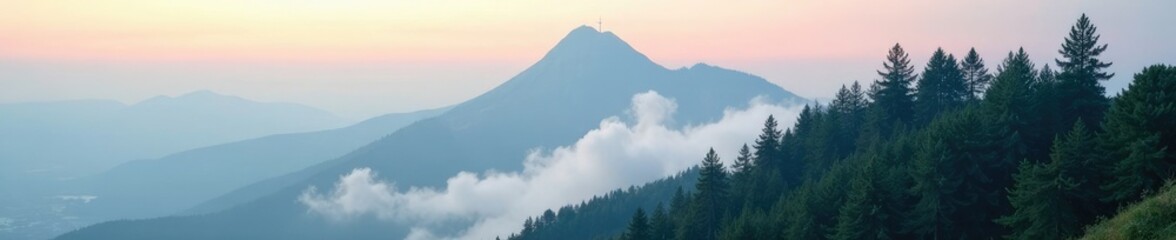 Fototapeta premium Misty morning on a mountain peak with pines and firs surrounding the summit, fir, towering