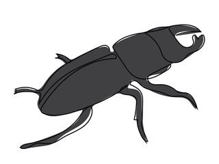 Black beetle in continuous line style on a white background.