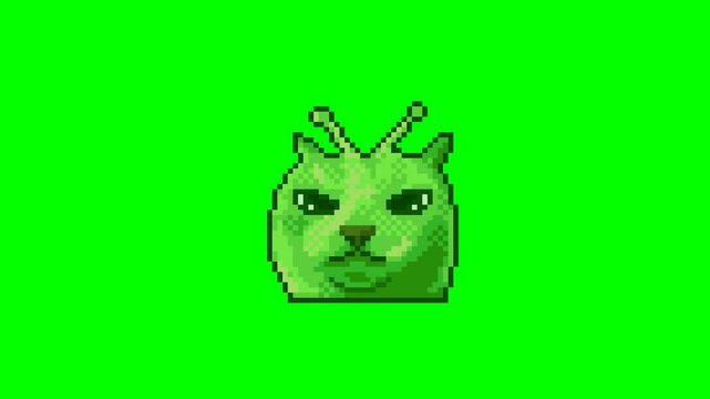 Angry alien cat, pixel art meme animation 
