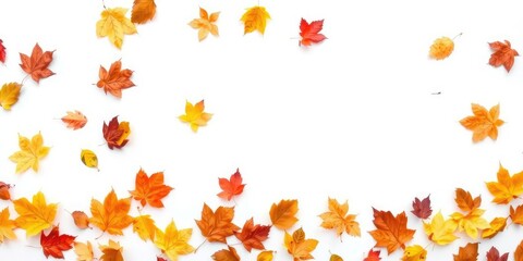 Softly scattered autumn leaves on a pristine white background create a serene and idyllic atmosphere, nature's canvas, fall foliage, peaceful ambiance