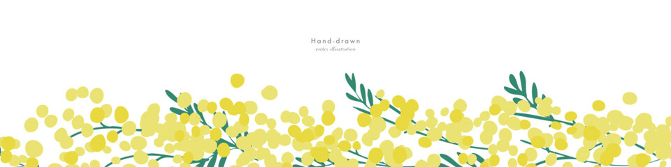 ミモザイラスト。ミモザの春ベクター背景。春の黄色いミモザの装飾フレーム。Mimosa Illustration. Mimosa spring vector background. Spring yellow mimosa decorative frame.