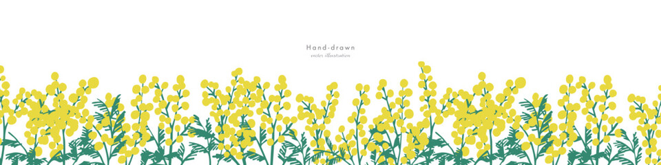 ミモザイラスト。ミモザの春ベクター背景。春の黄色いミモザの装飾フレーム。Mimosa Illustration. Mimosa spring vector background. Spring yellow mimosa decorative frame.
