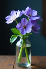 Delicate blue forget me not flowers in a glass vase, vase, delicate, purple