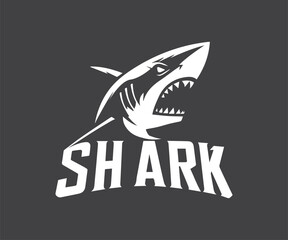 shark logo design template. vector illustration of shark logo design template