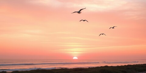 Soft pink and orange hues of dawn breaking over the coastline with a few seagulls flying overhead, clouds, gulls, sunrise