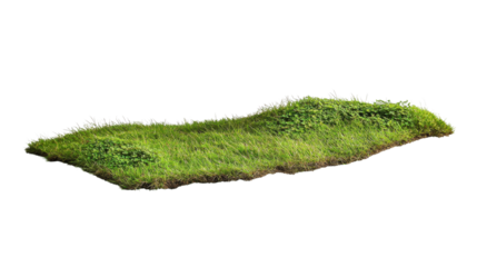 Patch of grass with transparent background creating natural landscape