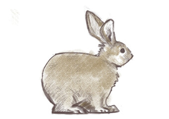 横を向いているウサギの手描き風、スケッチ風イラスト、背景なし