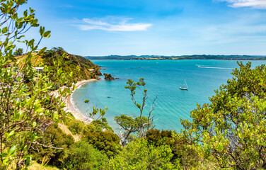 Tapeka Beach, Russell, North Island, New Zealand, Oceania.